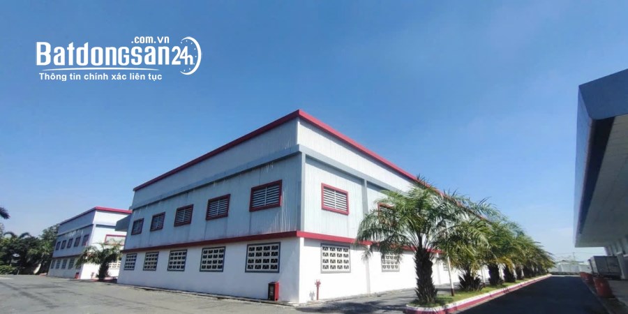 Cho thuê đất riêng, kho xưởng Đường Tỉnh lộ 835, Thị trấn Cần Giuộc, Huyện Cần Giuộc