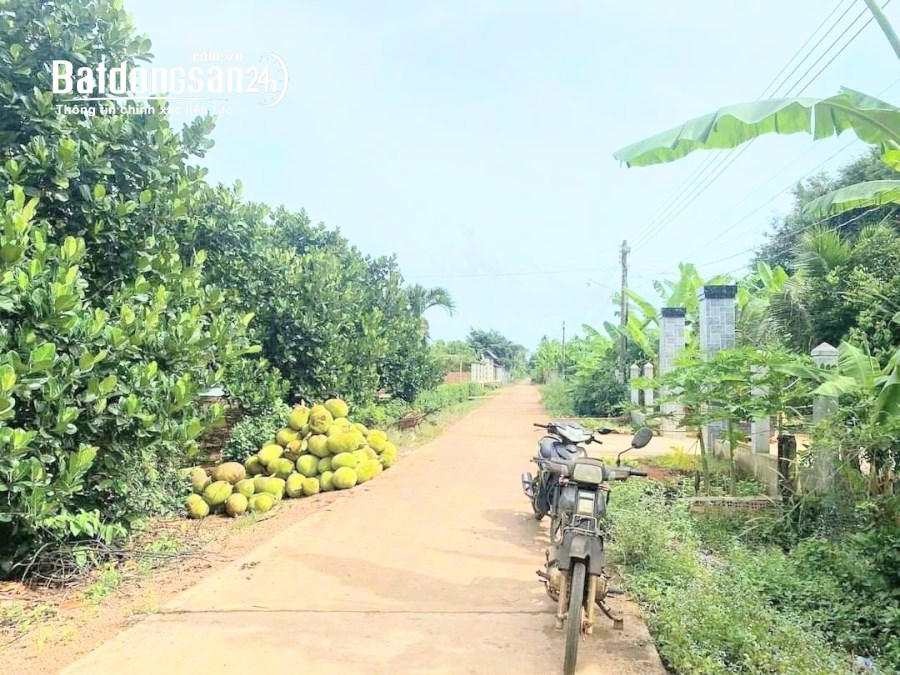 Bán đất Đường 74, Xã Phước Sang, Huyện Phú Giáo