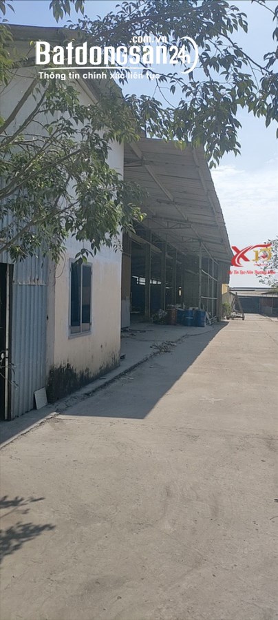 Cho thuê đất riêng, kho xưởng Đường Phan Đăng Lưu, Phường Phước Tân, TP Biên Hòa