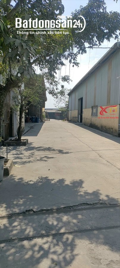 Cho thuê đất riêng, kho xưởng Đường Phan Đăng Lưu, Phường Phước Tân, TP Biên Hòa