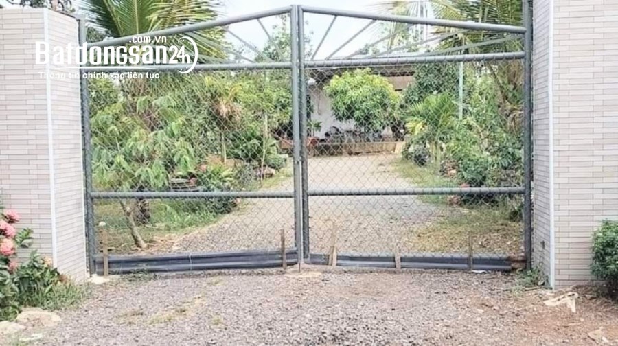 Bán đất Đường 18/9, Xã An Bình, Huyện Phú Giáo