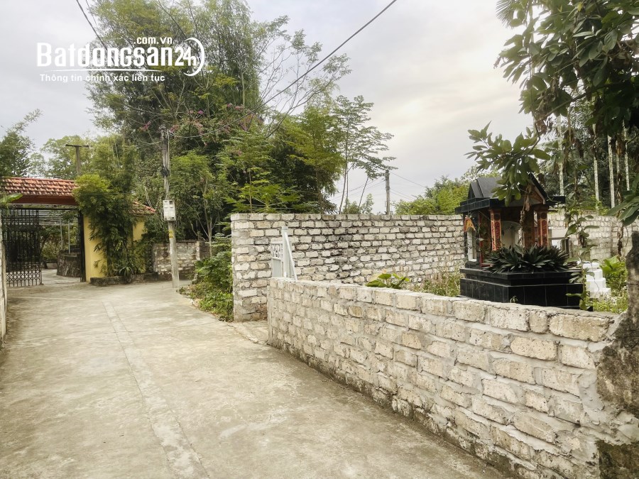 Bán đất Đường Liên Xã, Xã Kênh Giang, Huyện Thuỷ Nguyên