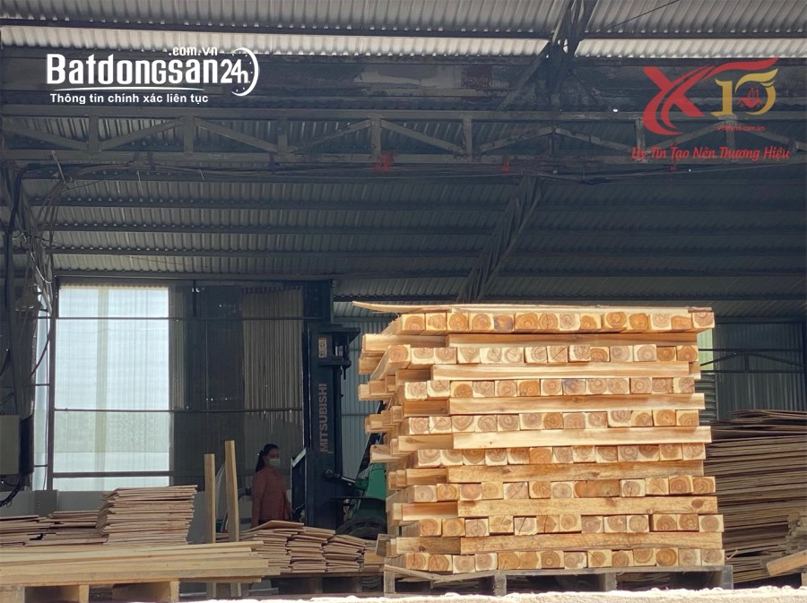 Bán kho xưởng, trang trại Đường Bắc Sơn - Long Thành, Phường Phước Tân, TP Biên Hòa