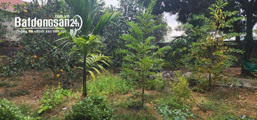Bán nhà Đường Quốc Lộ 6, Xã Tân Tiến , Huyện Chương Mỹ