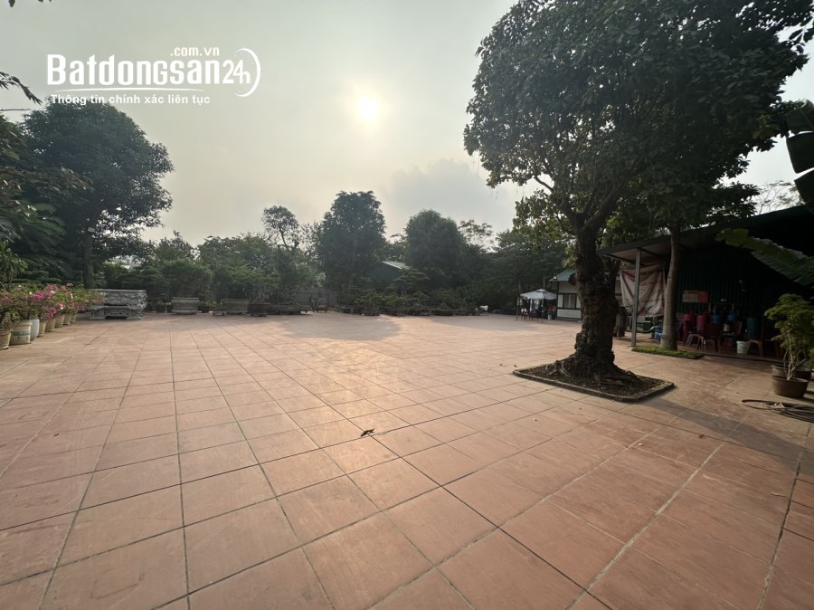 Bán đất Đường Nguyễn Tất Thành, Phường Khai Quang, Tp Vĩnh Yên