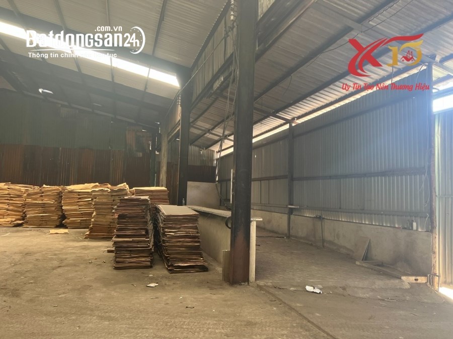 Cho thuê đất riêng, kho xưởng Đường Bùi Trọng Nghĩa, Phường Trảng Dài, TP Biên Hòa