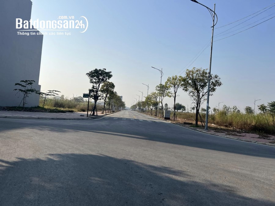 Bán đất KĐT Tân Phú Hưng, TP Hải Dương, diện tích đẹp 77.5m2, mt 5m, hướng tây đường 