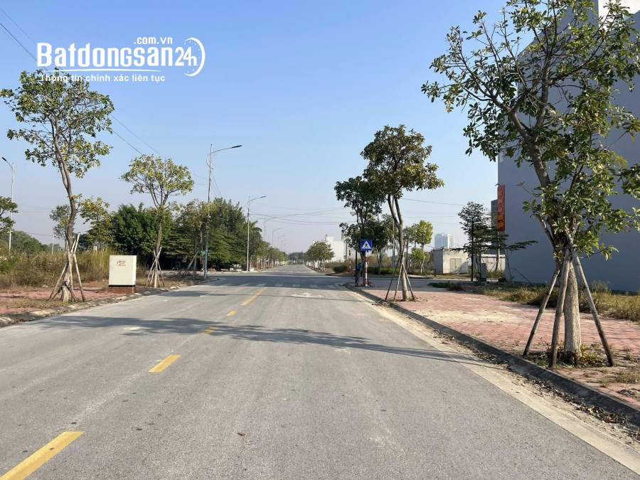 Bán đất KĐT Tân Phú Hưng, TP Hải Dương, diện tích đẹp 77.5m2, mt 5m, hướng tây đường 