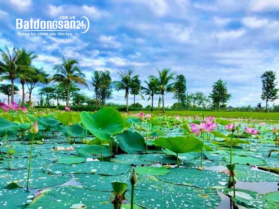 Bán biệt thự, villas Park Riverside Tân Cảng, Đường Bưng Ông Thoàn, TP Thủ Đức