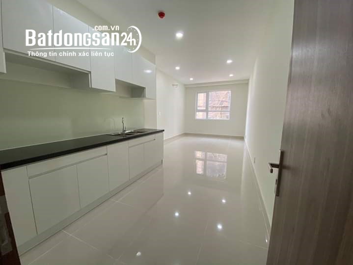 Cho thuê căn hộ 3006 Phonix 1B, Topaz Elite dọn vào ở ngay