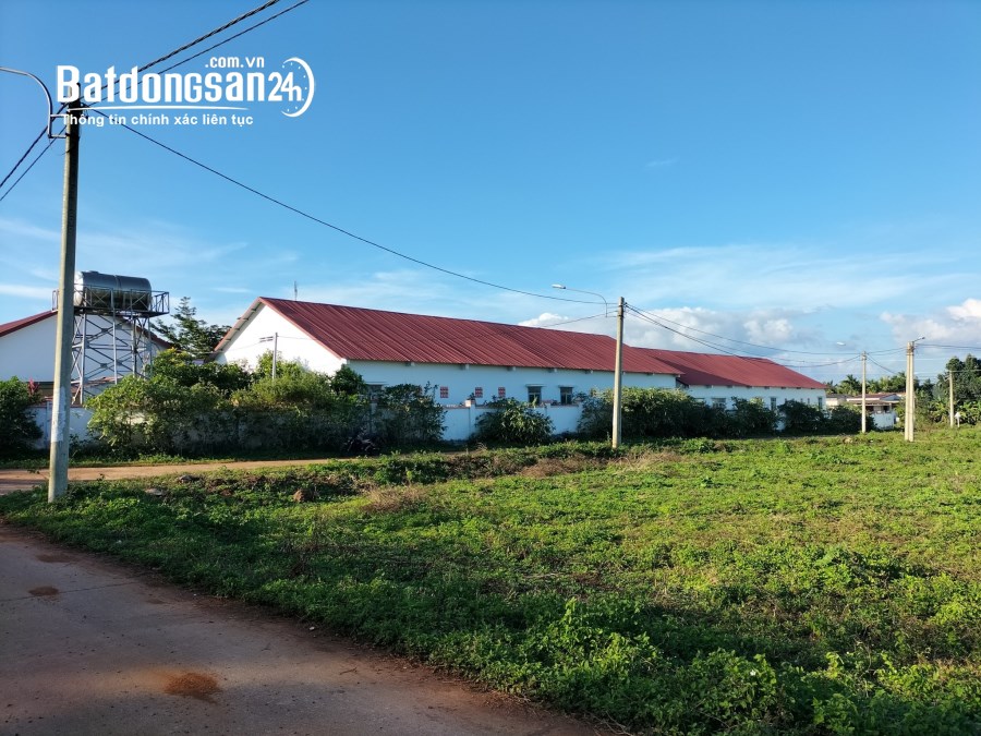 Đất Phú Lộc, Krong Năng – Cơ Hội Đầu Tư Đất Đẹp!