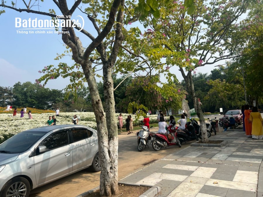 Bán biệt thự, villas The Phoenix Garden , Đường Tây Thăng Long, Huyện Đan Phượng