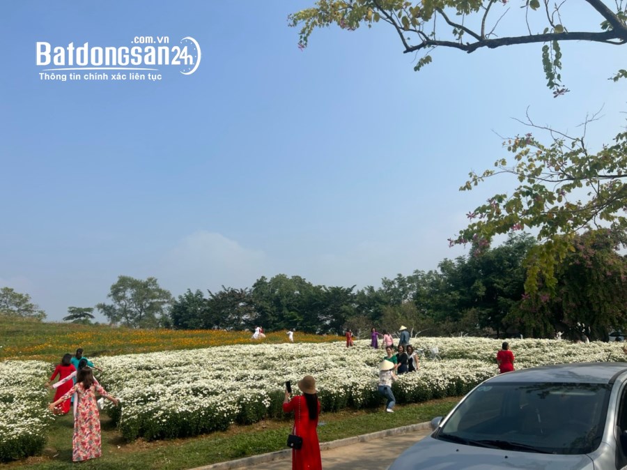 Bán biệt thự, villas The Phoenix Garden , Đường Tây Thăng Long, Huyện Đan Phượng
