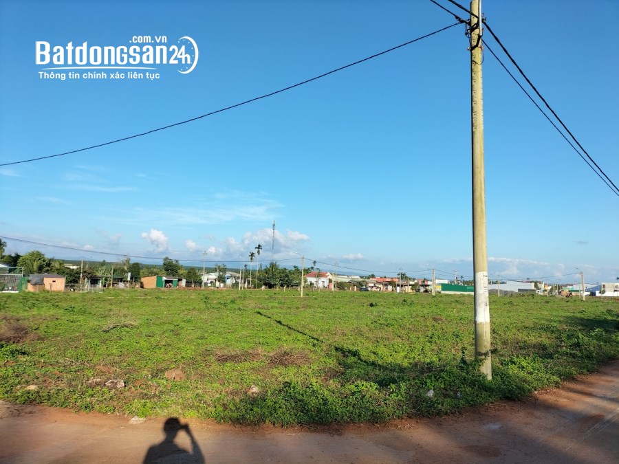 Bán Đất Phú Lộc - Cơ Hội Vàng Để Đầu Tư Thịnh Vượng