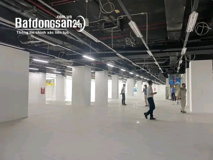 Chính chủ cho thuê Mặt Bằng chân đế Mipec 229 Tây Sơn, Đống Đa làm văn phòng và MBKD
