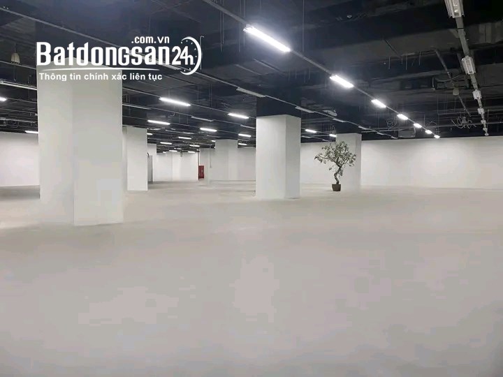 Chính chủ cho thuê Mặt Bằng chân đế Mipec 229 Tây Sơn, Đống Đa làm văn phòng và MBKD
