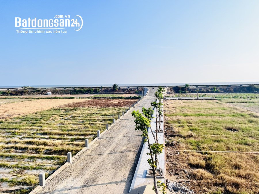 SIÊU HOT: Đất nền biển Quất Lâm - Giao Phong - Nam Định