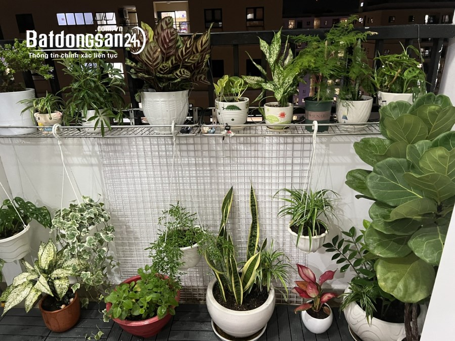 Bán căn hộ chung cư Cityland Park Hills, Đường 8, Quận Gò Vấp