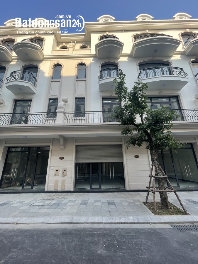 Bán nhà mặt phố Vinhomes Dream City, Đường 179, Huyện Văn Giang