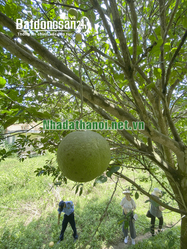 Bán biệt thự, villas Lâm Sơn Resort, Đường Quốc lộ 6, Huyện Lương Sơn