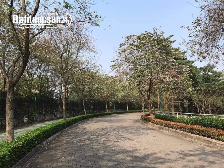 Bán biệt thự Ciputra, Tây Hồ, Hà Nội, Lô góc, hai mặt tiền, thang máy, nội thất cấp