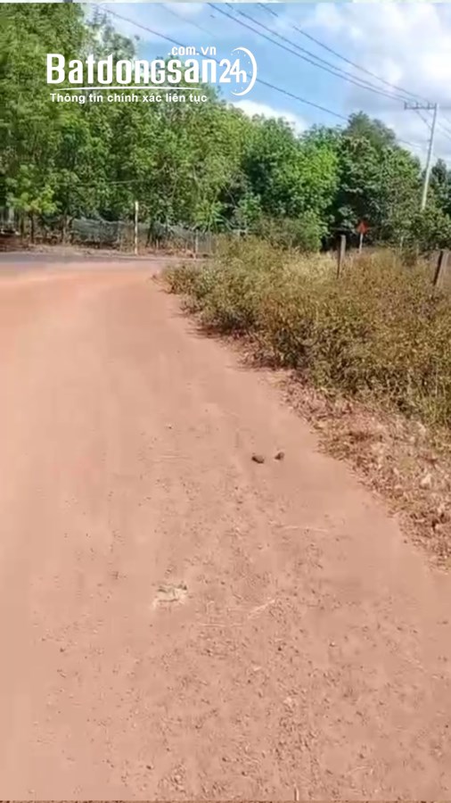 Bán đất Đường Trừ Văn Thố, Xã Trừ Văn Thố, Huyện Bàu Bàng