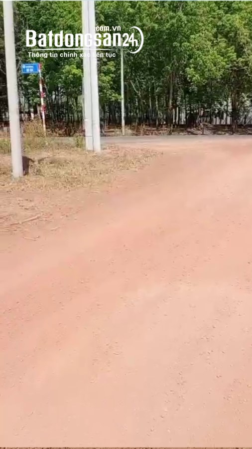 Bán đất Đường Trừ Văn Thố, Xã Trừ Văn Thố, Huyện Bàu Bàng