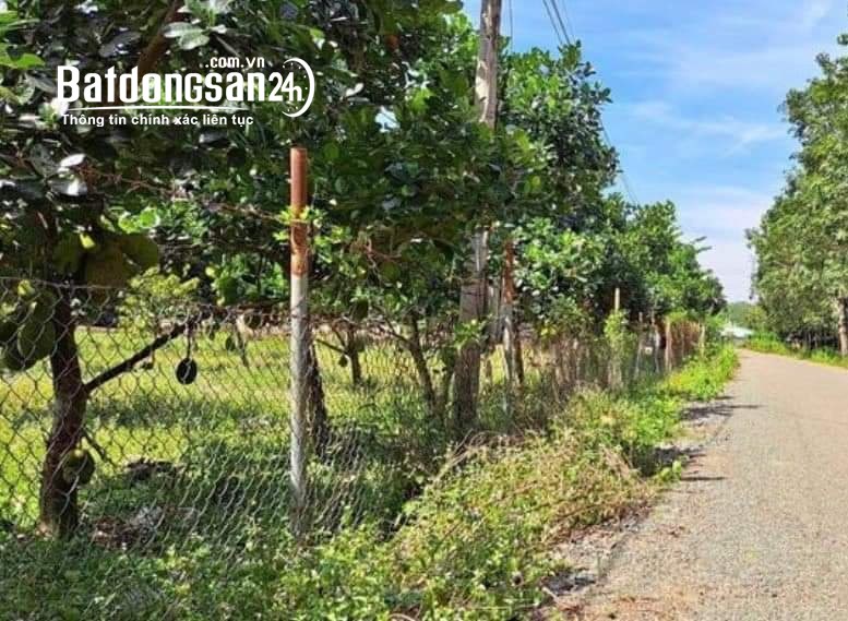 Bán đất Đường 18/9, Xã An Bình, Huyện Phú Giáo