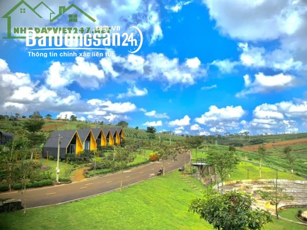 Bán đất Đường Quốc Lộ 20, Xã Lộc Tân, Huyện Bảo Lâm