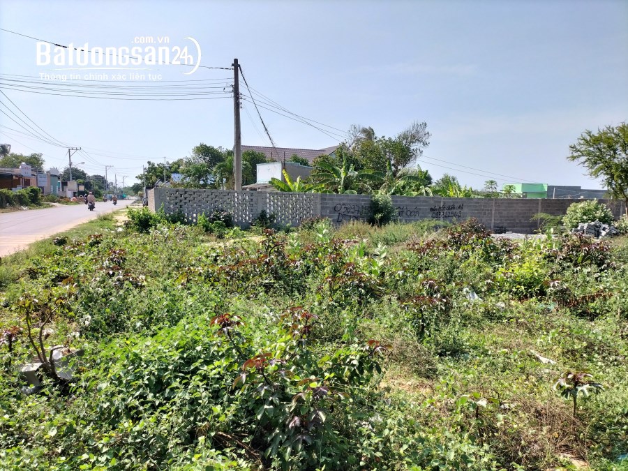  Chính chủ bán gấp lô mặt tiền đường ( 29m ) KDC Phước Thể - Tuy Phong - Bình Thuận 