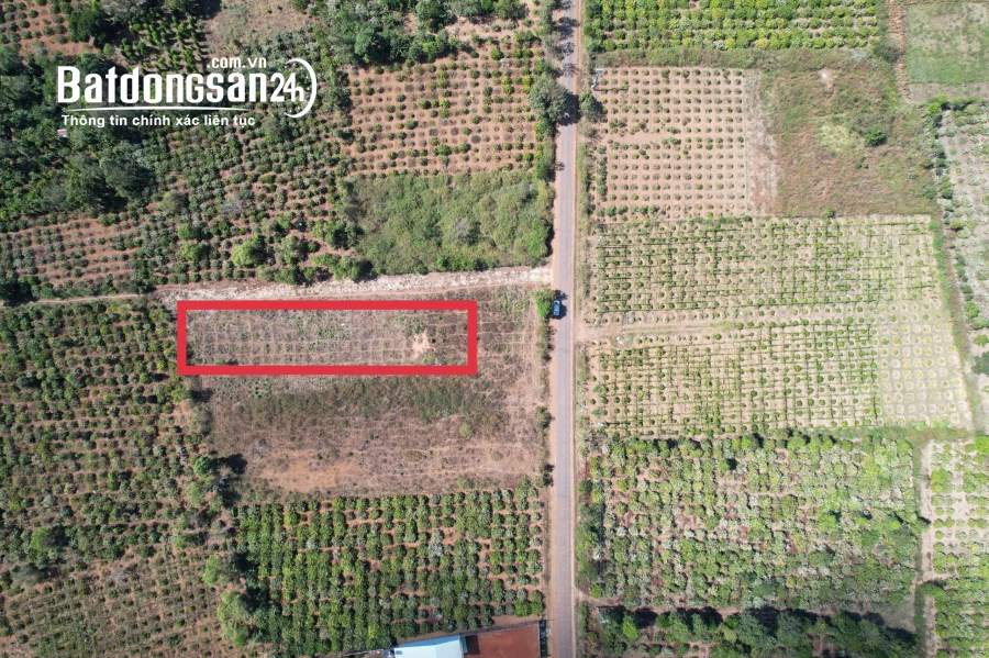 ĐẤT FULL THỔ CƯ PLEIKU 100TR/LÔ