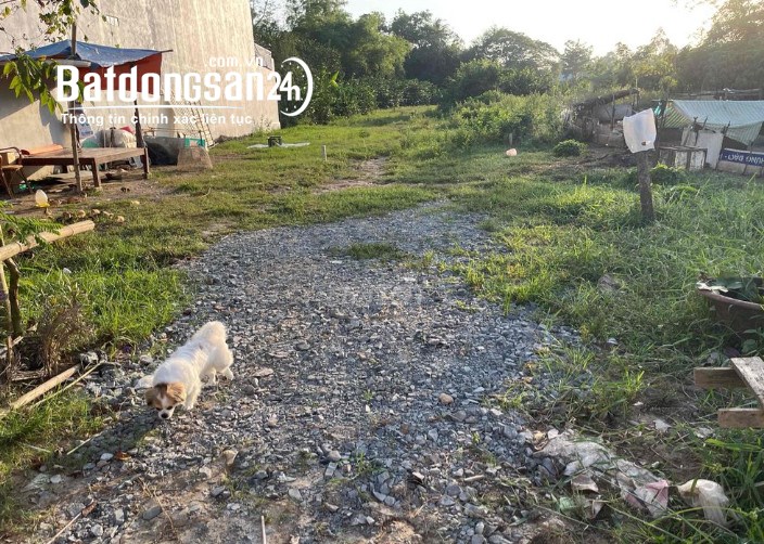 Bán đất Đường Nguyễn Văn Linh, Phường 2, TP Sóc Trăng