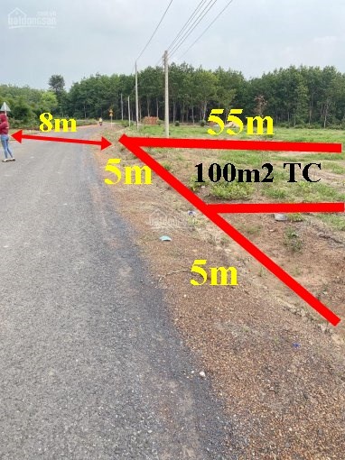 Bán đất mặt phố Đường Tỉnh lộ 749, Xã Long Tân, Huyên Dầu Tiếng