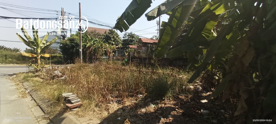 Bán đất Đường Bưng Ông Thoàn, Phường Phú Hữu, TP Thủ Đức (Quận 9)
