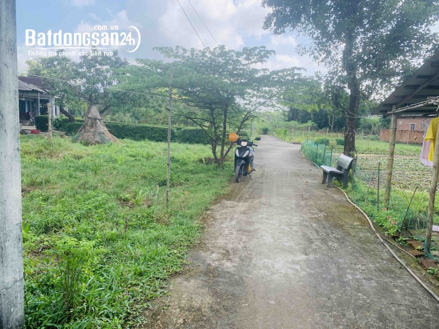 Bán nhà gần khu công nghiệp VSIP , Xã Tịnh Phong, Huyện Sơn Tịnh, Quảng Ngãi 