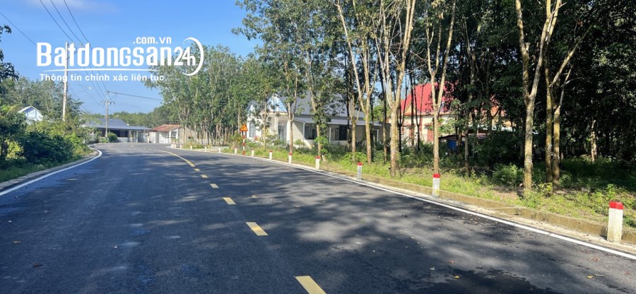Cần bán 3000m2 thổ cư 100m2 tại Chơn Thành, Bình Phước. Giá 333 nghìn /m2