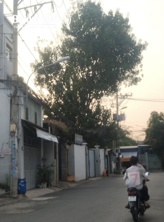 Bán nhà Đường 215, Phường Tăng Nhơn Phú A, TP Thủ Đức (Quận 9)