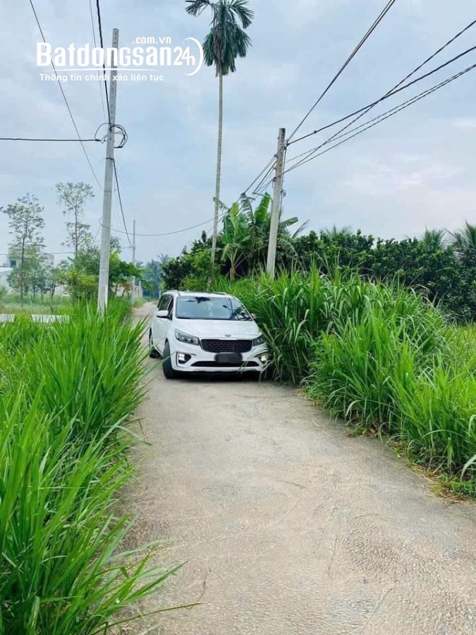 Chủ ngộp giảm mạnh ,Mỹ Phong , Mỹ Tho