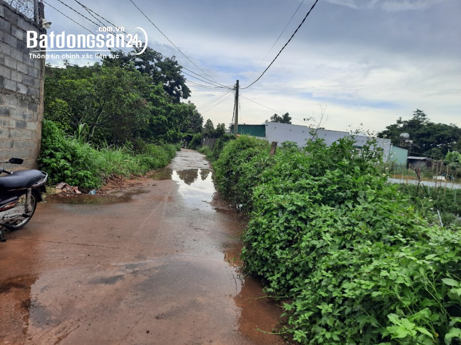 Bán đất Đường Quốc Lộ 27, Xã Phú Hội, Huyện Đức Trọng