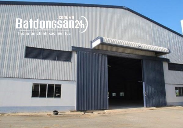 Cho thuê đất riêng, kho xưởng Đường ĐT 743, Phường Tân Đông Hiệp, TP Dĩ An