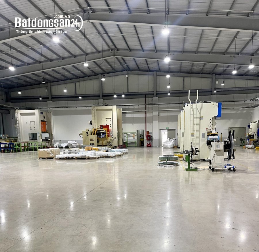 Cho thuê đất riêng, kho xưởng Đường ĐT 743, Phường Tân Đông Hiệp, TP Dĩ An