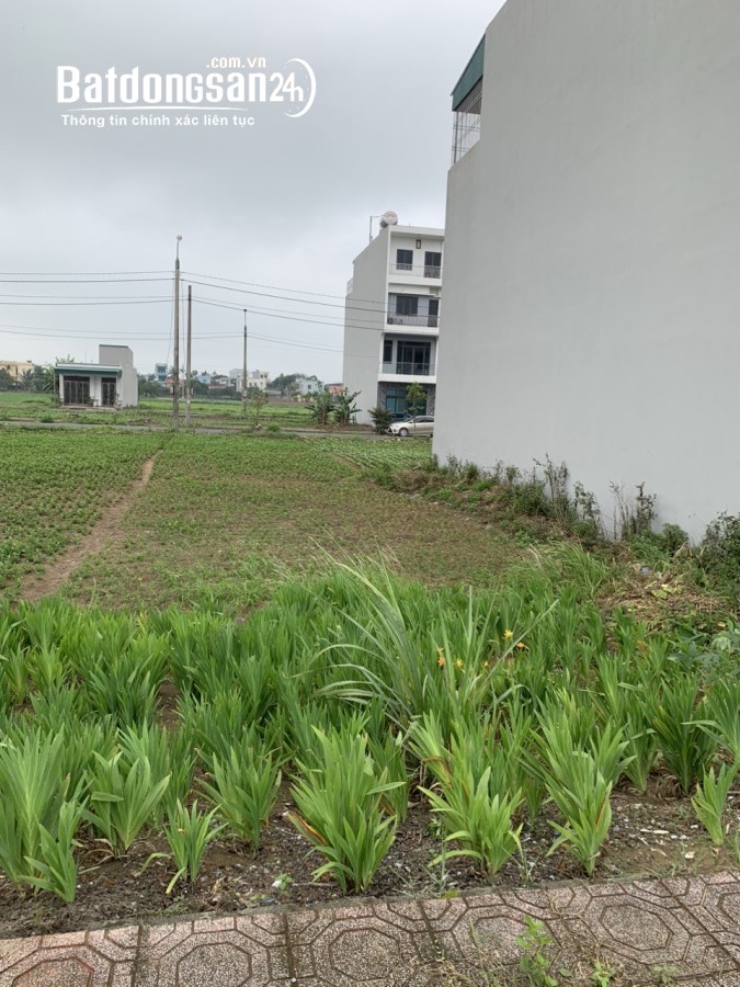 Bán đất Xã Tân Bình, TP Thái Bình