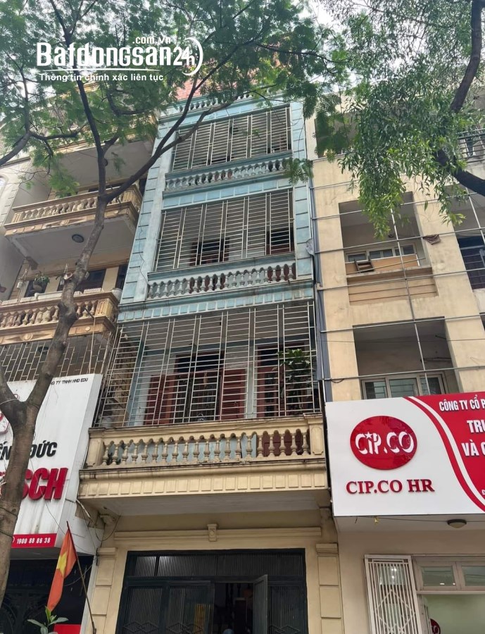 Bán biệt thự, villas Đường Đặng Xuân Bảng, Phường Đại Kim, Quận Hoàng Mai