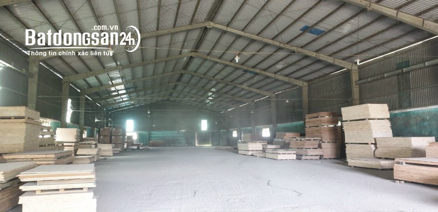 Cho thuê đất riêng, kho xưởng Đường Ngô Quyền, Phường An Hải Bắc, Quận Sơn Trà
