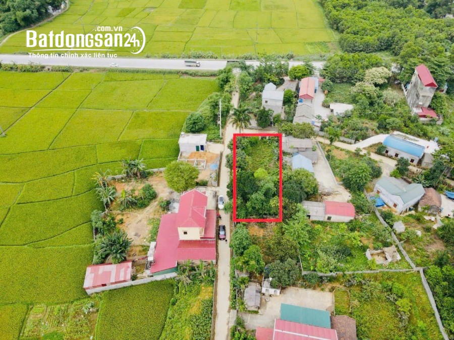 BÁN GẤP LÔ ĐẤT ĐẸP CÓ DT 726m2 (400m2 ONT) VUÔNG VẮN CÁCH ĐƯỜNG MÒN HCM CÓ 50m