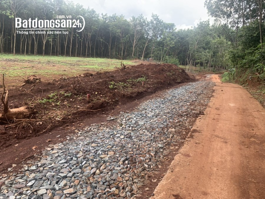 BÁN 1200M2 ĐẤT SÀO  GẦN TRUNG TÂM HÀNH CHÍNH TÂN KHAI , giá 450 triệu