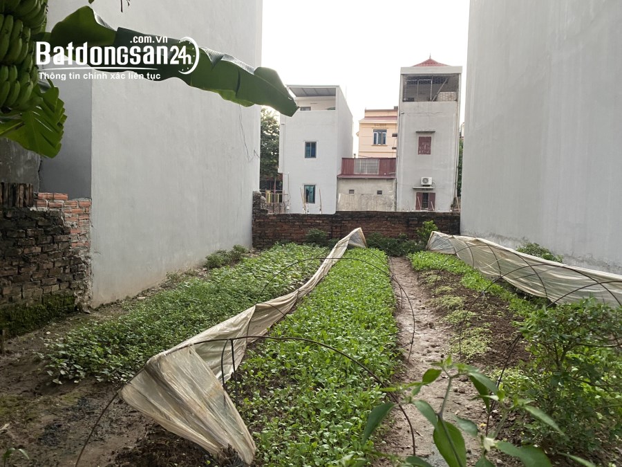 Bán đất Đường 23, Xã Tiền Phong, Huyện Mê Linh