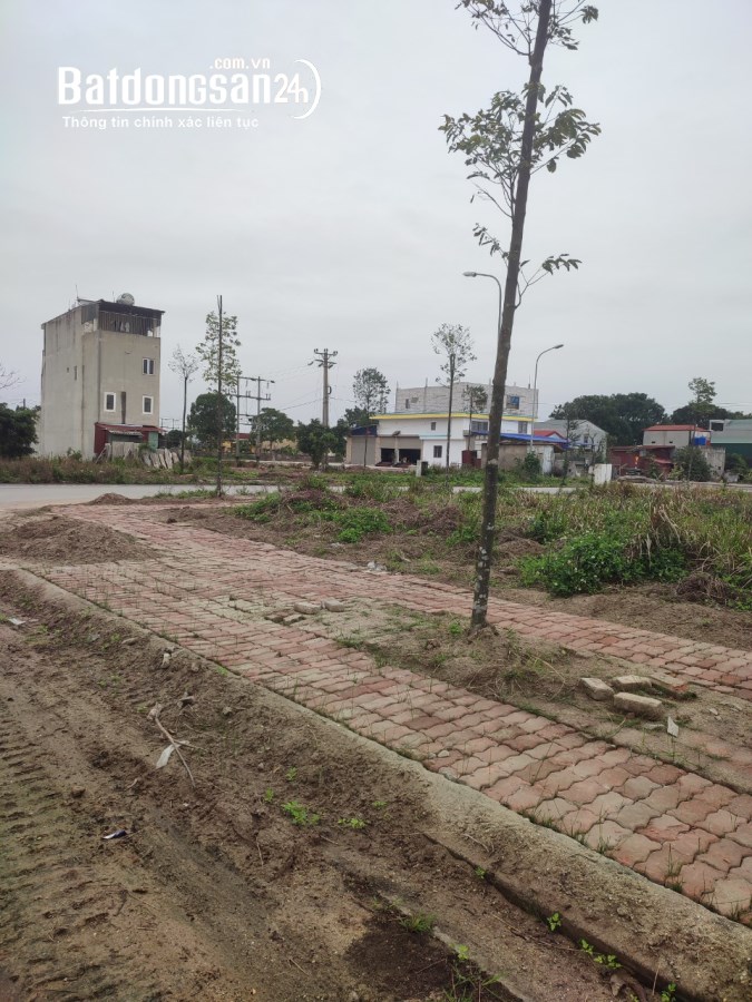 bán đất dự án Anh  Dương Thuận Thành BN