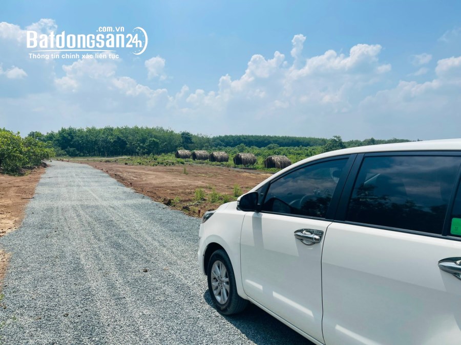 BÁN GẤP 2000M2 ĐẤT KẾ BÊN KHU DU LỊCH NGUYỄN ANH GARDEN 390TR CÔNG CHỨNG NGÂY
