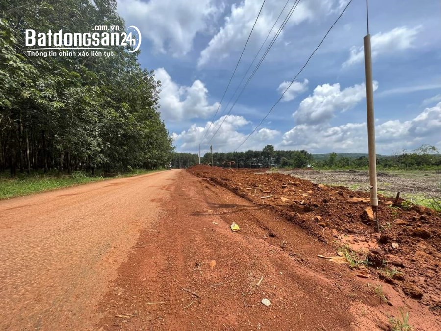 Bán đất Đường Quốc lộ 14, Xã Đồng Tâm, Huyện Đồng Phú